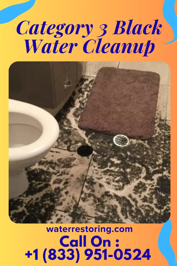 Category 3 Black Water Cleanup in Two Rivers, WI