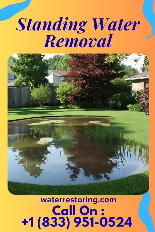 Standing Water Removal in Two Rivers, WI